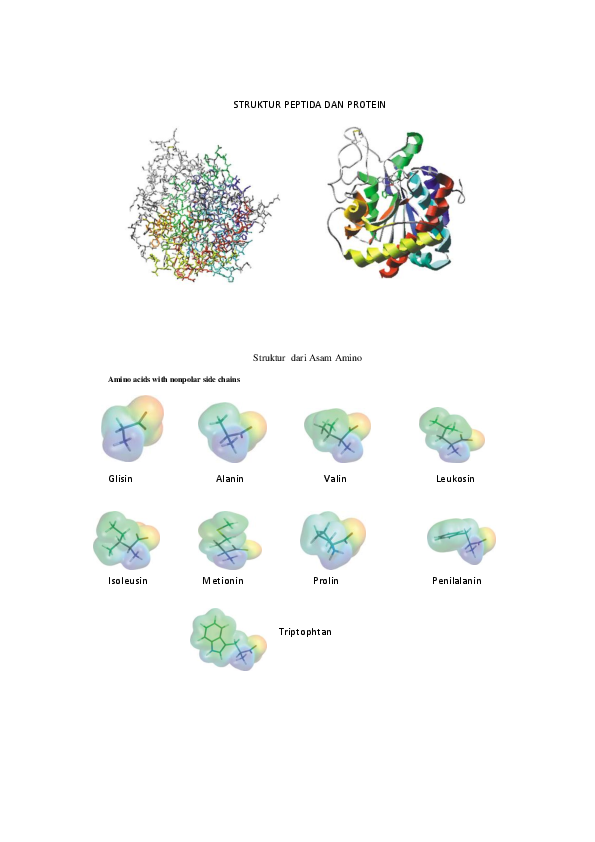 (DOC) STRUKTUR PEPTIDA DAN PROTEIN