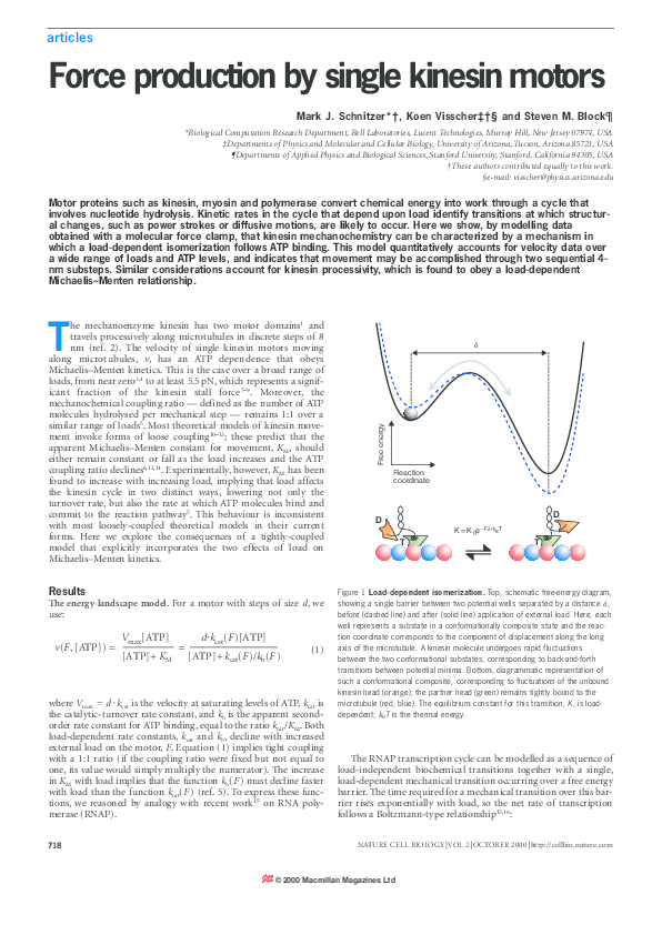 (PDF) Force production by single kinesin motors