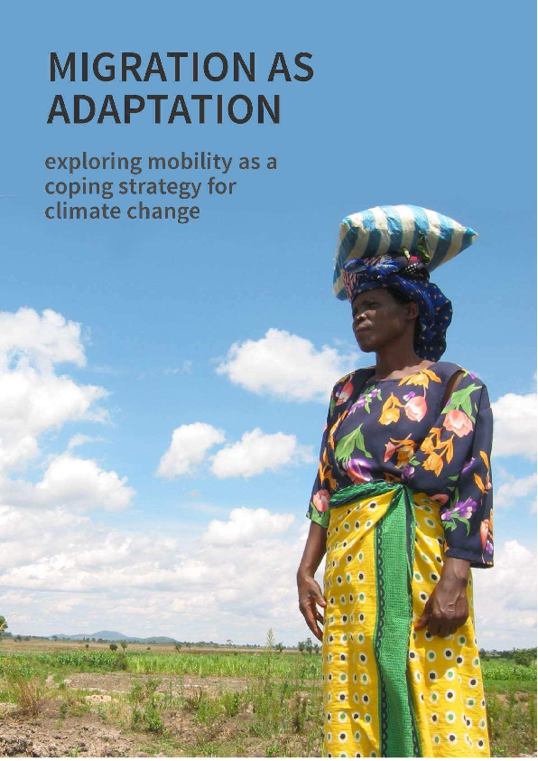 (PDF) Migration as adaptation: exploring mobility as a coping strategy ...
