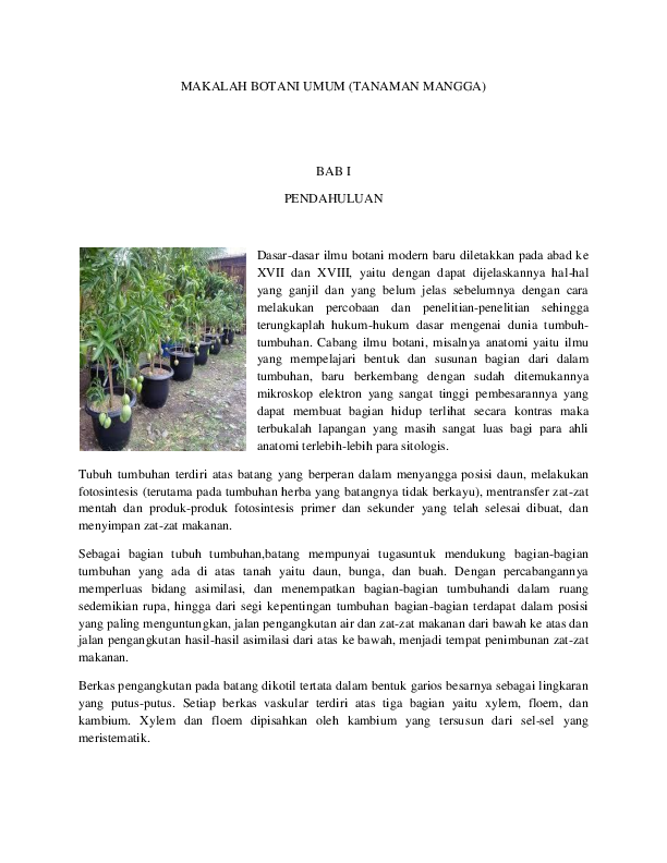 Contoh Teks Laporan Hasil Observasi Tentang Tumbuhan