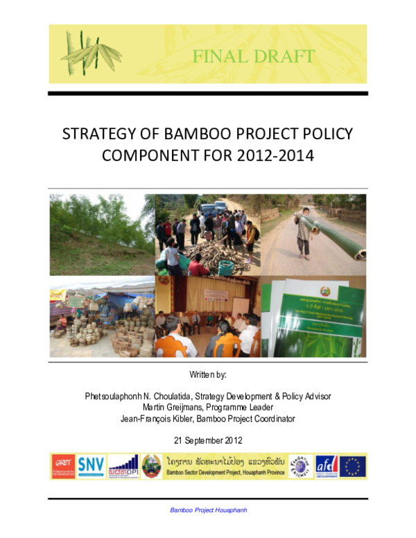 (PDF) Final draft strategy of bamboo project policy component