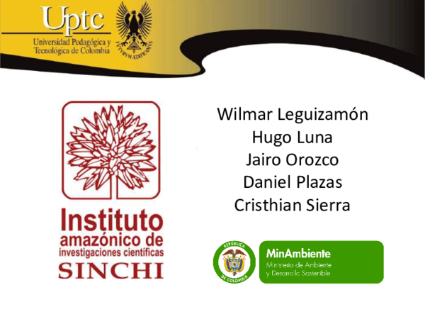 (PPT) Instituto Amazonico de Investigaciones Cientificas SINCHI