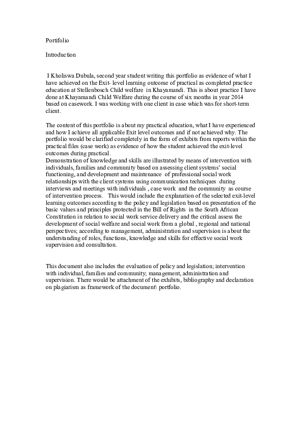 (DOC) Portifolio Introduction