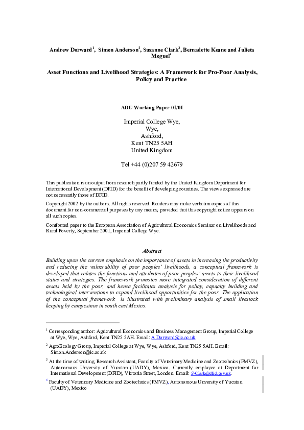 (PDF) ASSET FUNCTIONS AND LIVELIHOOD STRATEGIES: A FRAMEWORK FOR PRO ...