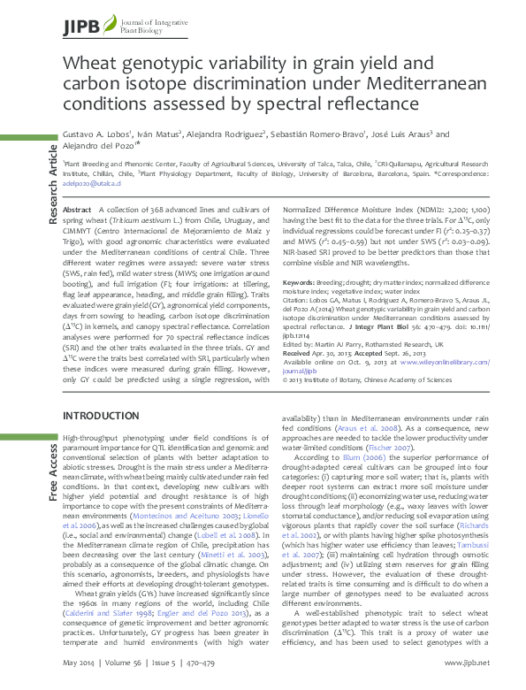 (PDF) Wheat genotypic variability in grain yield and carbon isotope ...