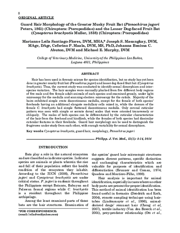 (PDF) Guard Hair Morphology of the Greater Musky Fruit Bat (Ptenochirus