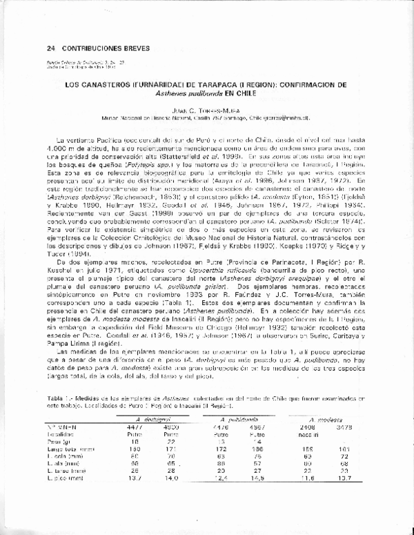 (PDF) Los canasteros (Furnariidae) de Tarapacá (I Región) confirmación