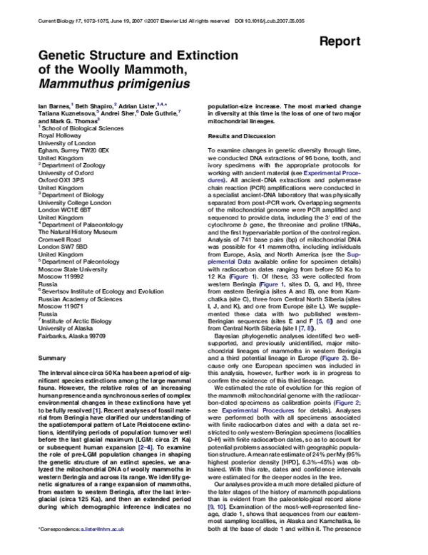 What did mammoths eat picture