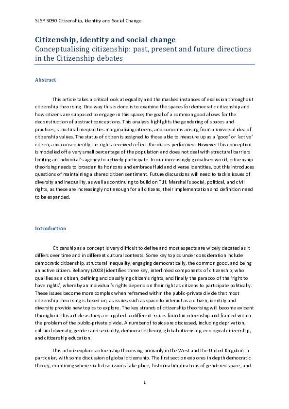 Debating citizenship essay example image