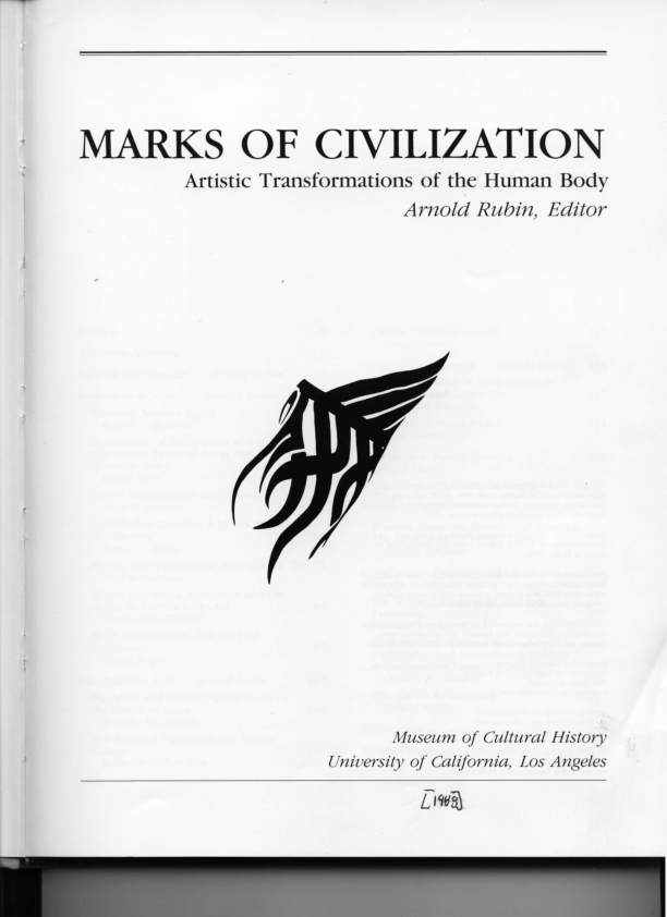 Sustaining the transformation essay picture