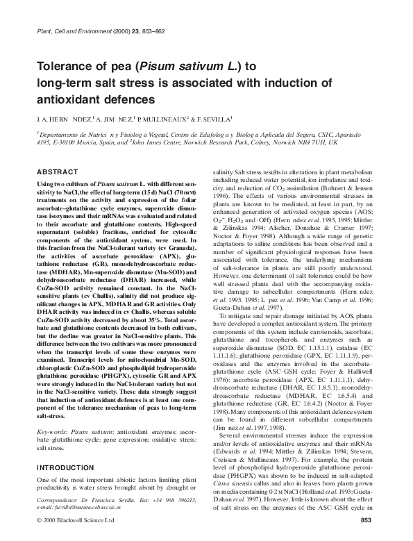 (PDF) Tolerance of pea (Pisum sativum L.) to long-term salt stress is ...