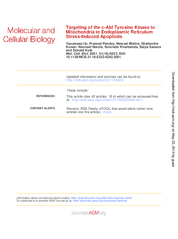 (PDF) Targeting of the c-Abl Tyrosine Kinase to Mitochondria in ...