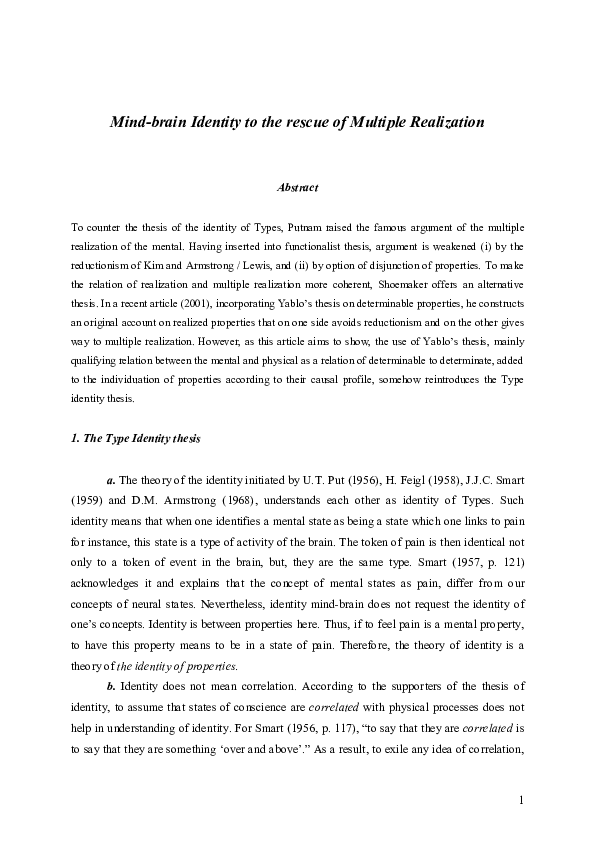 Multiple realizability identity theory picture