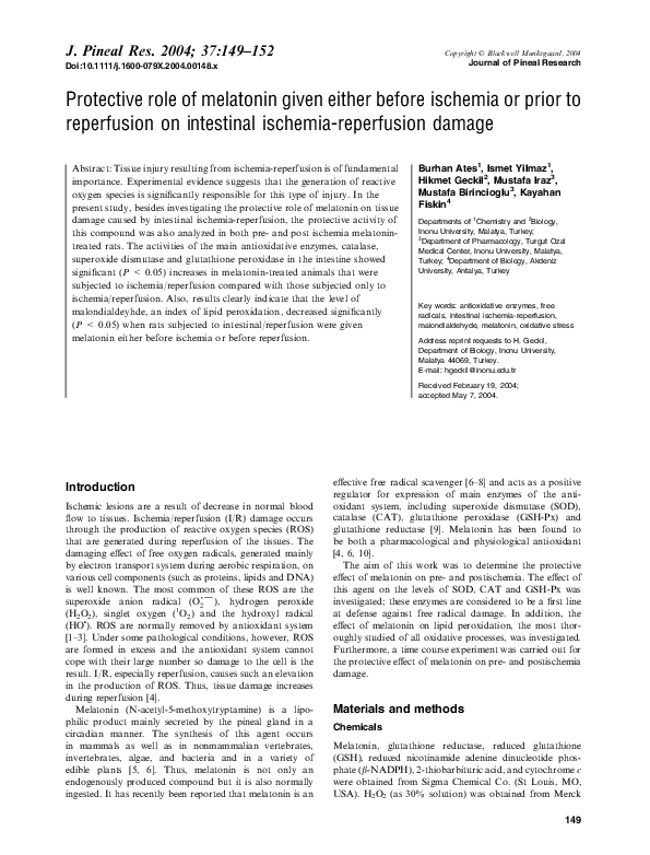 (PDF) Protective role of melatonin given either before ischemia or ...