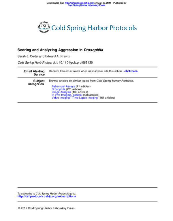 Drosophila melanogaster lab report picture