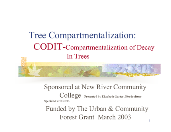 Tree Compartmentalization: CODIT-Compartmentalization of Decay In Trees ...