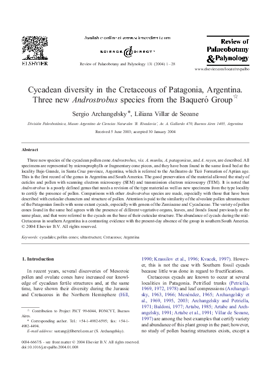 (PDF) 2004 Archangelsky & Villar de Seoane. Cycadean diveresity, three ...