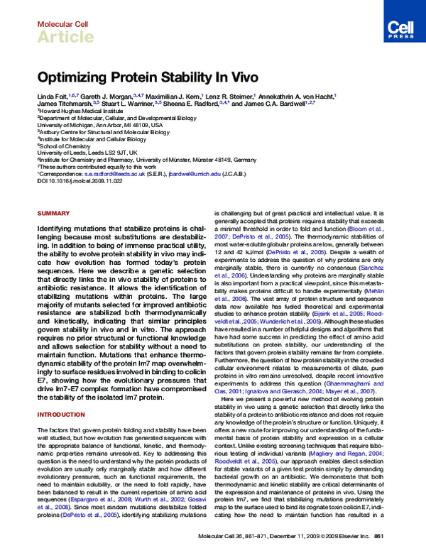 (PDF) Optimizing Protein Stability In Vivo