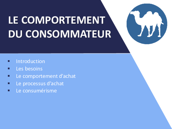 (PDF) Le-comportement-du-consommateur