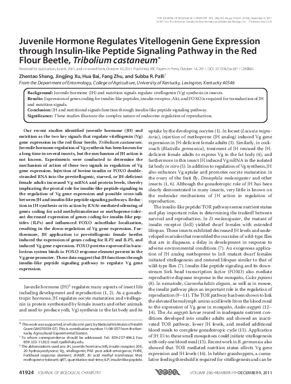 (PDF) Juvenile Hormone Regulates Vitellogenin Gene Expression through ...