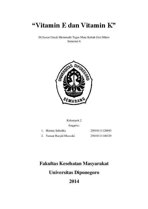 Vit E K Himma Sahulika Academia Edu