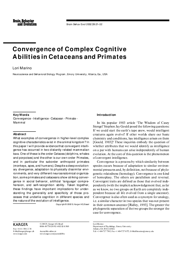 Do apes have tails picture