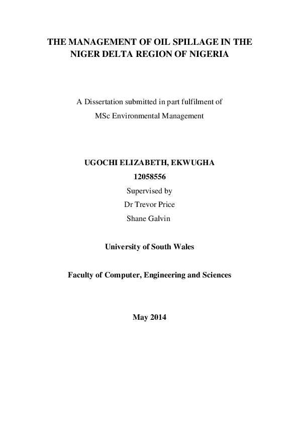 Niger delta dissertation image