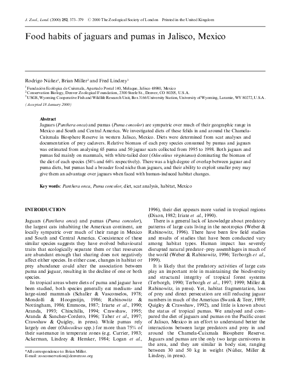 (PDF) Jaguar (Panthera onca) and puma (Puma concolor) food habits in