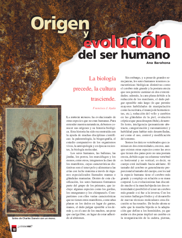 (PDF) origen y evolucion del ser humano