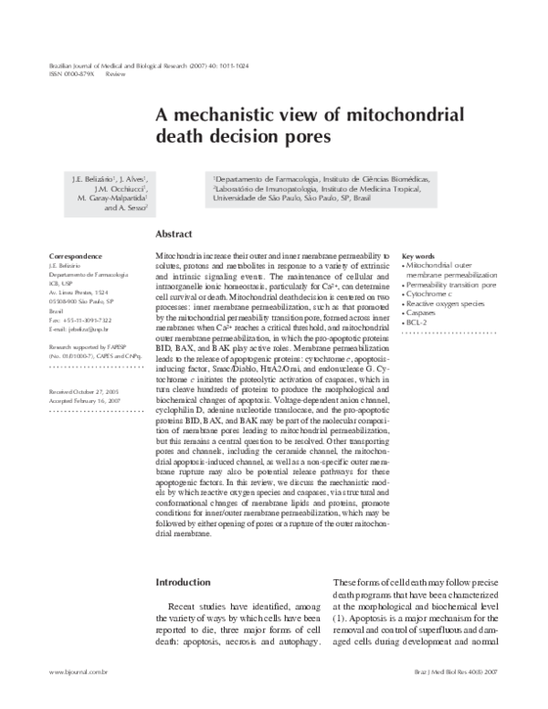 (PDF) A mechanistic view of mitochondrial death decision pores