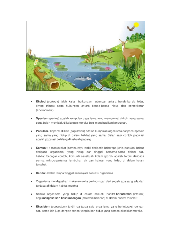 Ejercicio De Ppt 2021