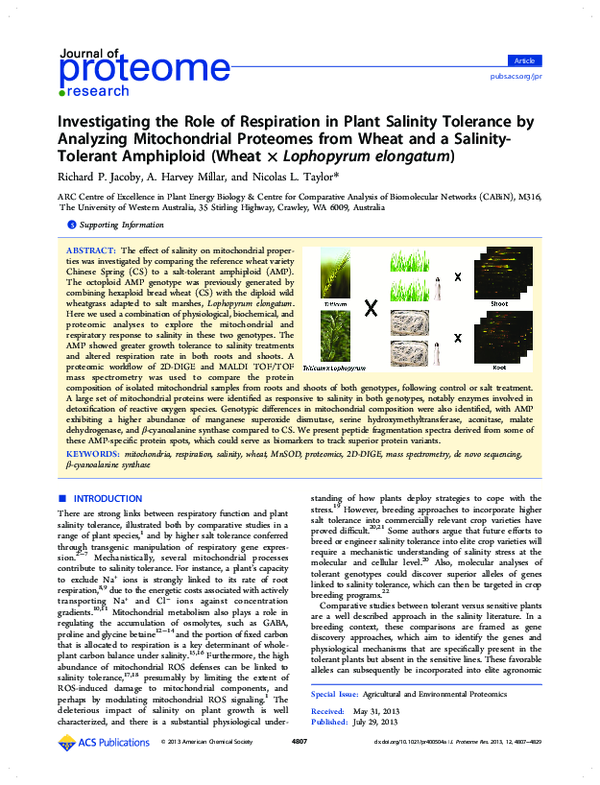 (PDF) Investigating the role of respiration in plant salinity tolerance ...