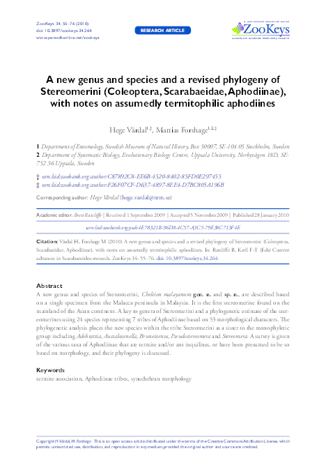 (PDF) A new genus and species and a revised phylogeny of Stereomerini ...