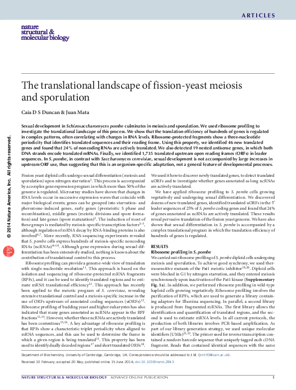 The translational landscape of fission-yeast meiosis and sporulation