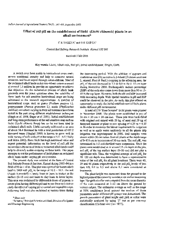 How many lychees in 100g image