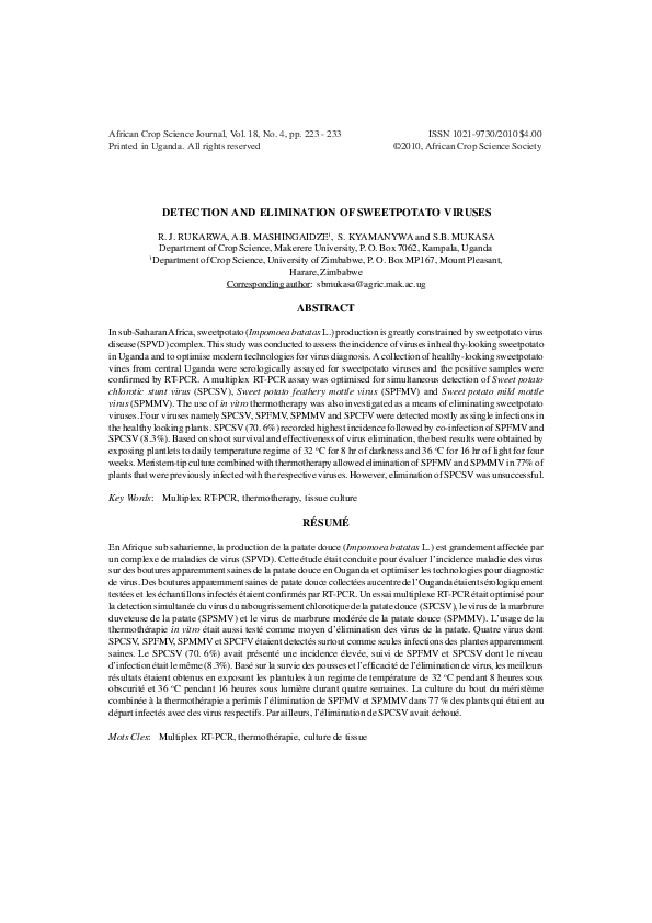 Experimental research about sweet potato image