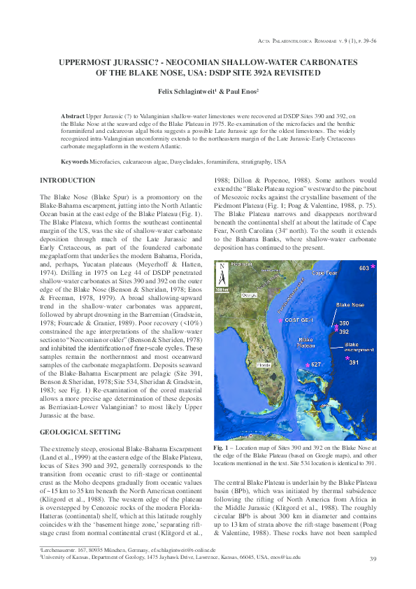 (PDF) Uppermost Jurassic?- Neocomian shallow-water carbonates of the ...