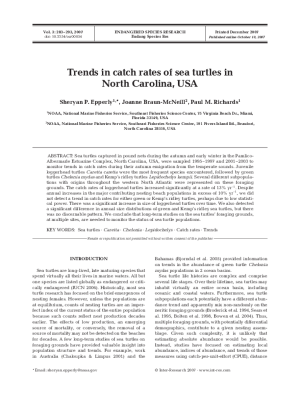 Research paper on sea turtles image