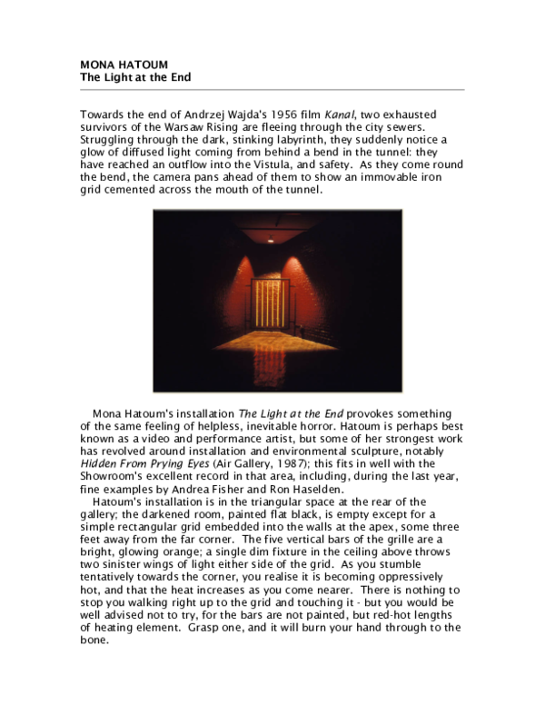 Mona hatoum essay 08 picture