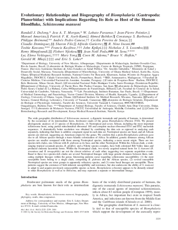 Speciation definition biology image