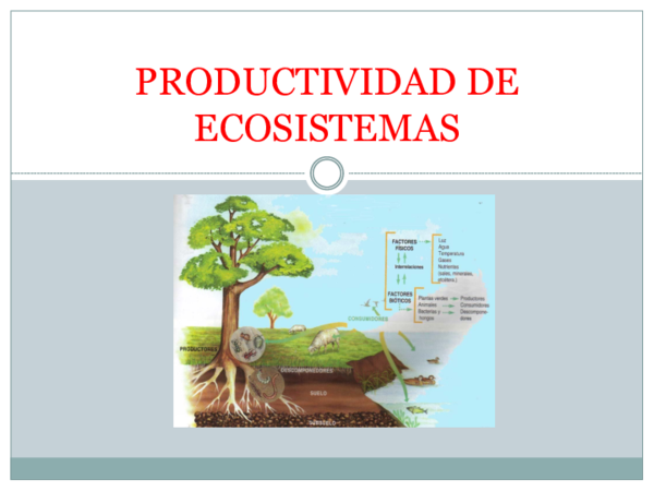 (PPT) PRODUCTIVIDAD DE ECOSISTEMAS