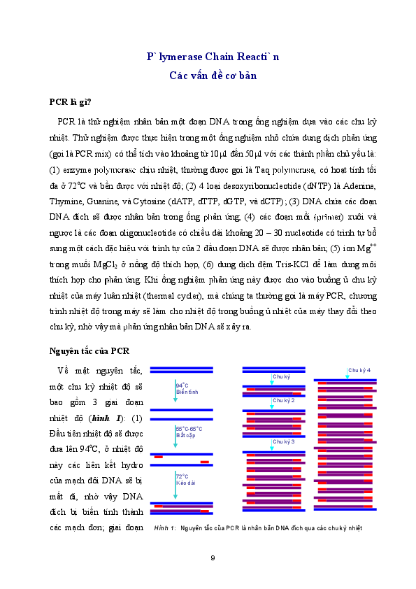 (PDF) PCR basic