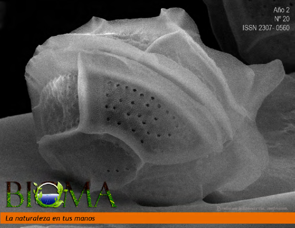 manual de ácaros mesostigmatidos parásitos en vertebrados manual de ácaros mesostigmatidos parásitos en vertebrados