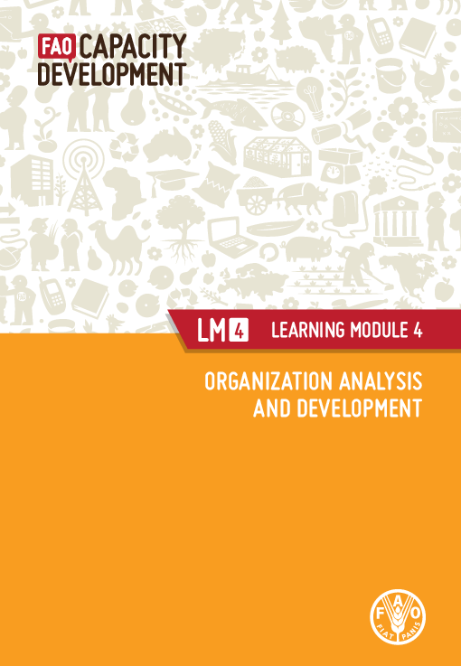 (PDF) Organization analysis and development learning module 4