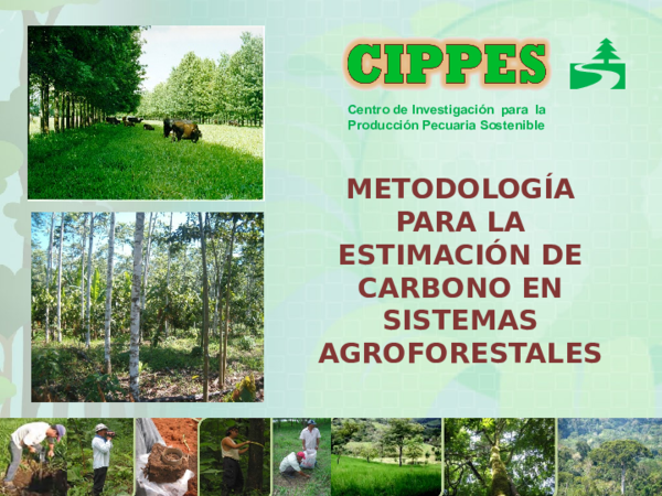 (PPT) Tema 3 PROYECTOS DE CARBONO