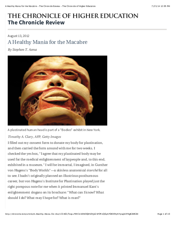 Morbid curiosity essay 06 picture