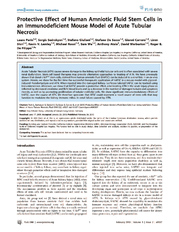 (PDF) Protective Effect of Human Amniotic Fluid Stem Cells in an ...