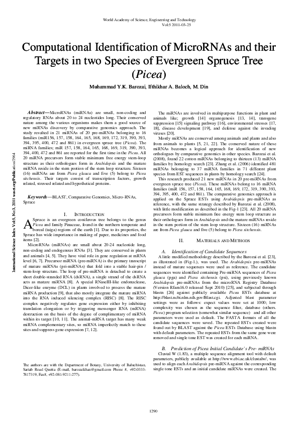 (PDF) Computational Identification of MicroRNAs and their Targets in ...