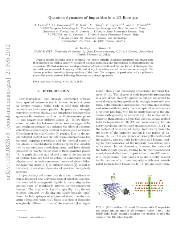(PDF) Quantum dynamics of impurities in a 1D Bose gas