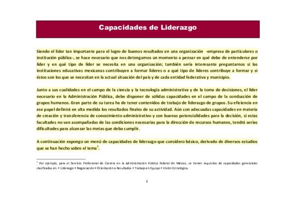 Essay de lider 06 image
